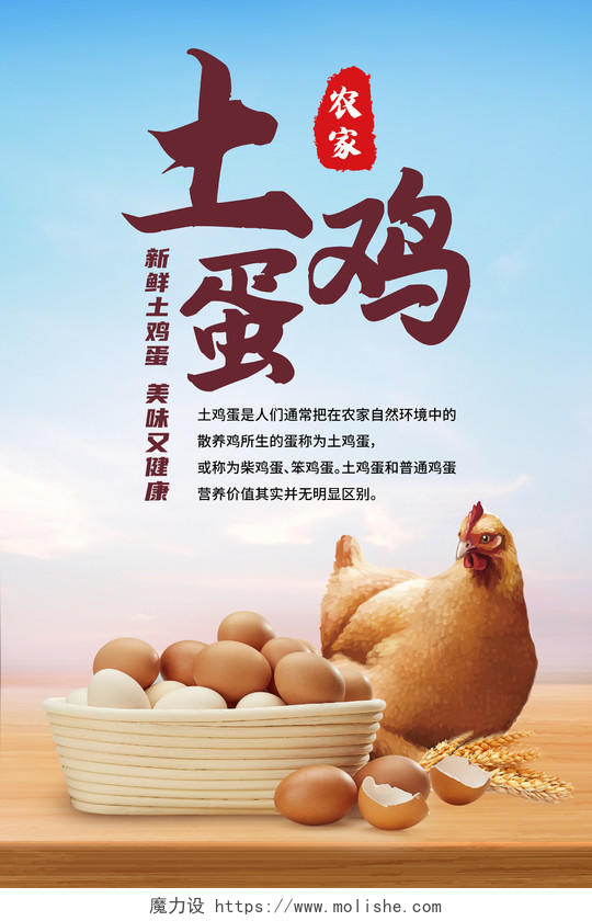 蓝黄色简约农家土鸡蛋土鸡蛋售卖宣传海报设计